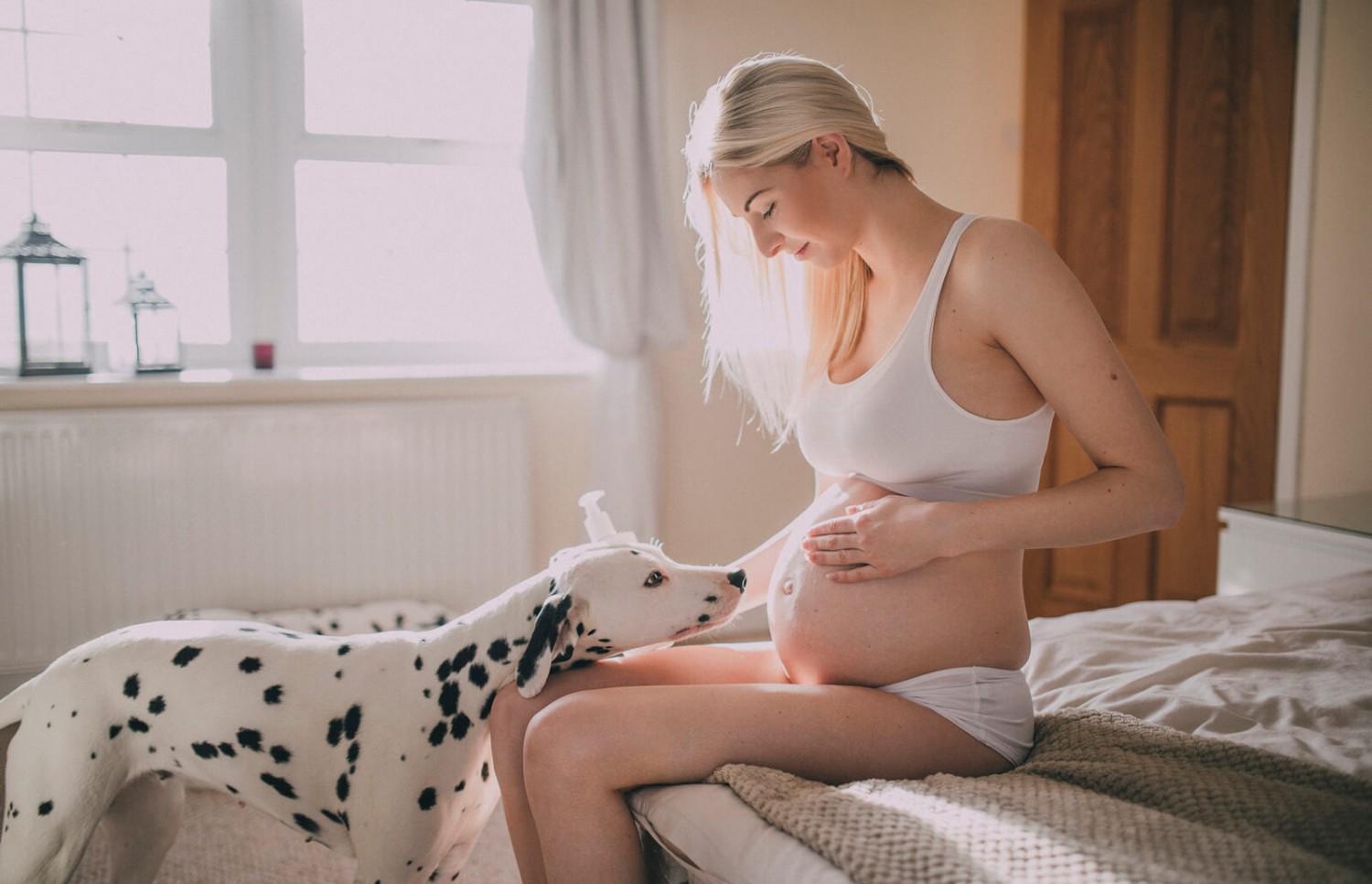 7 hihetetlen dolog, amit a kutyád képes kiszagolni