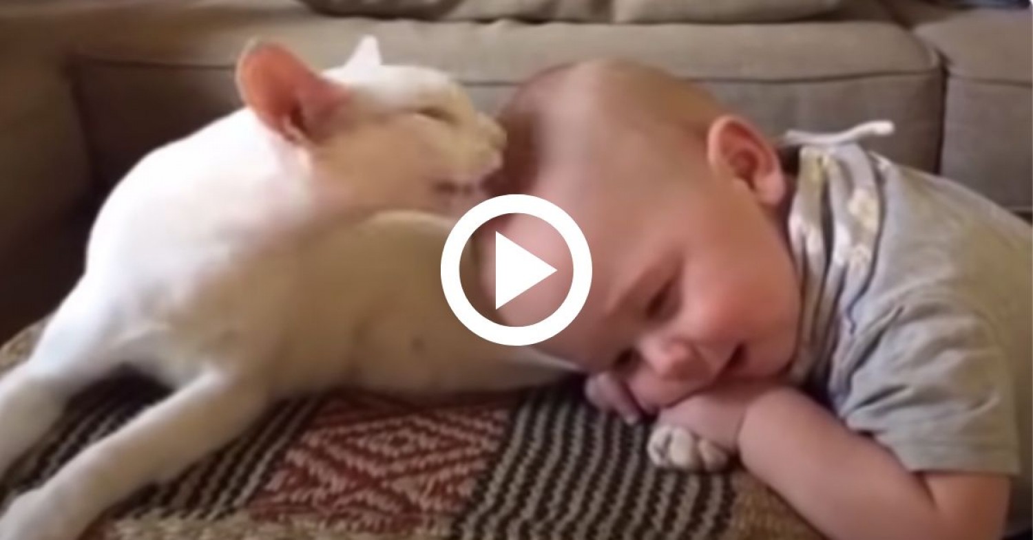 A baba és a cica akiket lehetetlenség elválasztani!