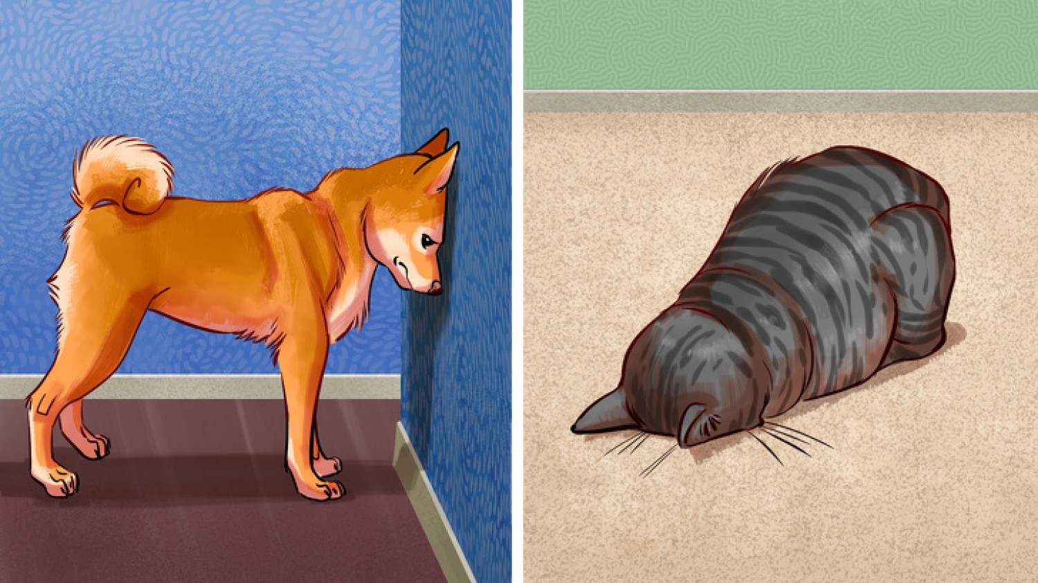 Íme 7 ok amiért a háziállatok a falnak nyomhatják a fejüket