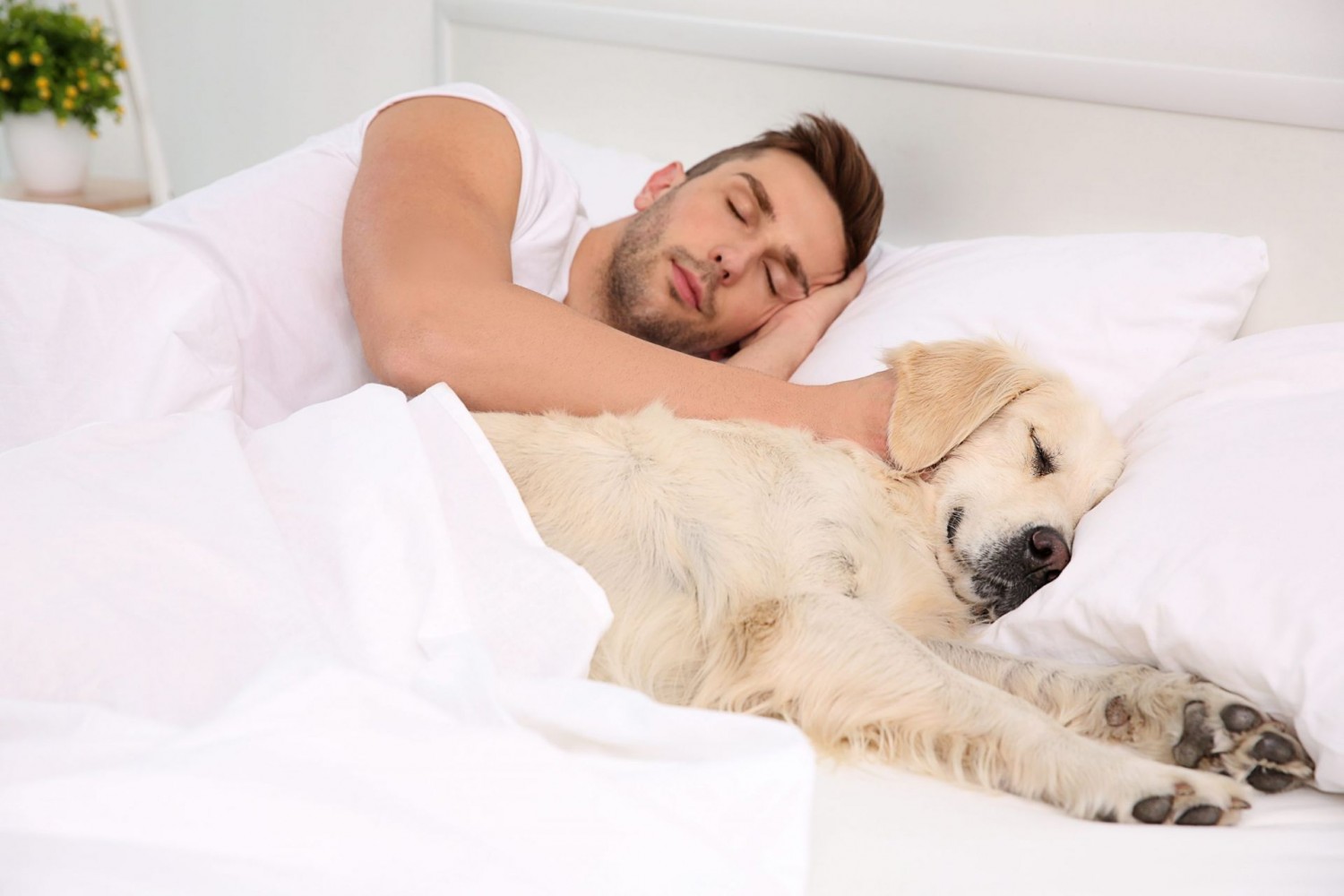 7 ok, amiért kifejezetten jó ha kutyusoddal alszol!