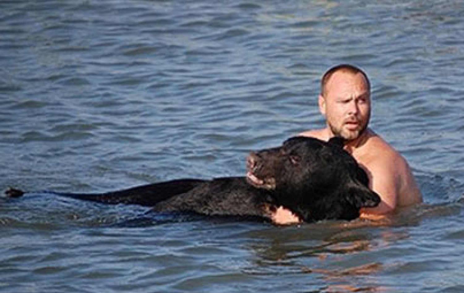 A hatóságok lelőtték a medvét, de a férfi megmentette a fulladástól!