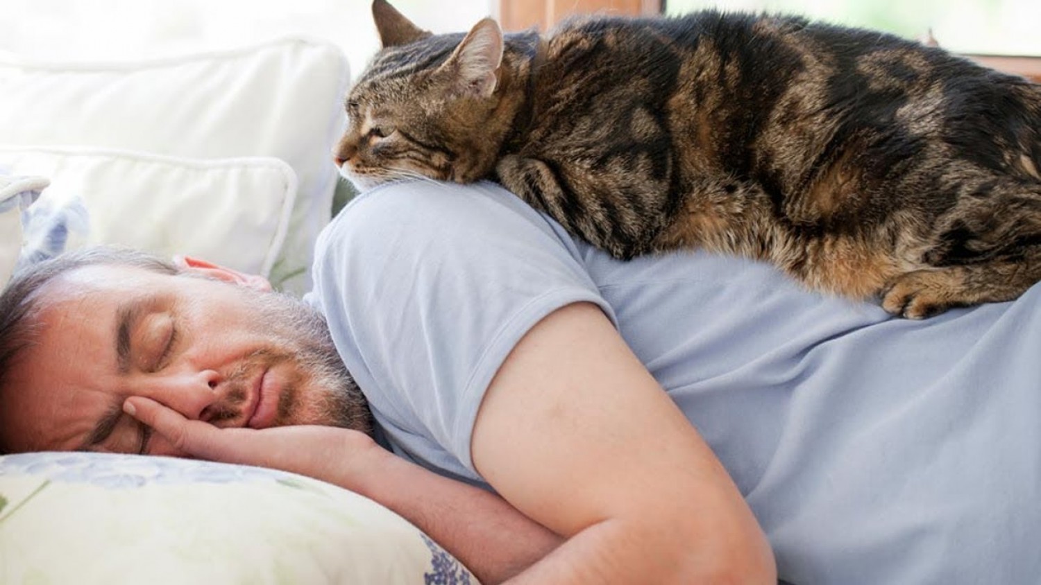 Ezért szeretnek a cicák rajtunk aludni