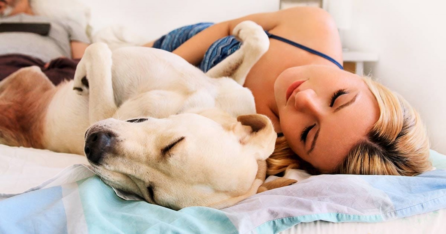 A nők jobban alszanak egy kutya mellett, mint egy férfi mellett