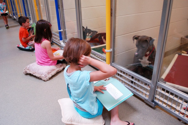 Gyerekek gyakorolhatják az olvasást egy állatmenhelyen