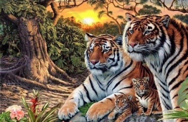 Hány tigrist látsz a képen?