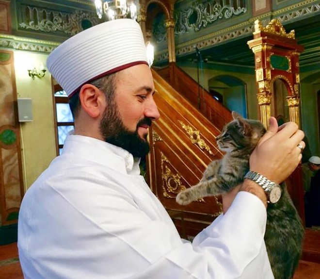 Mustafa Efe Megnyitja Mecset ajtóit a kóbor macskák előtt
