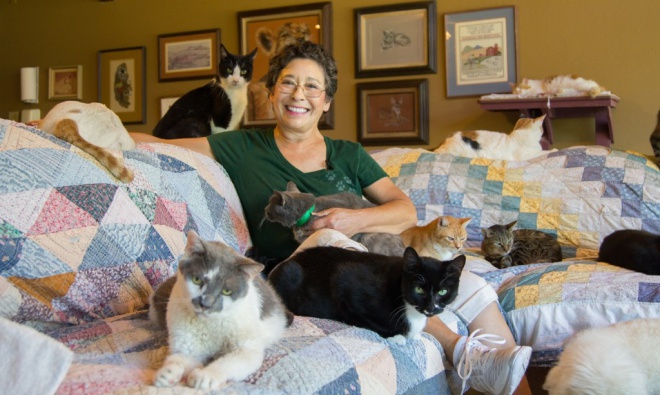 Egy nő aki több mint 1000 macskával él együtt